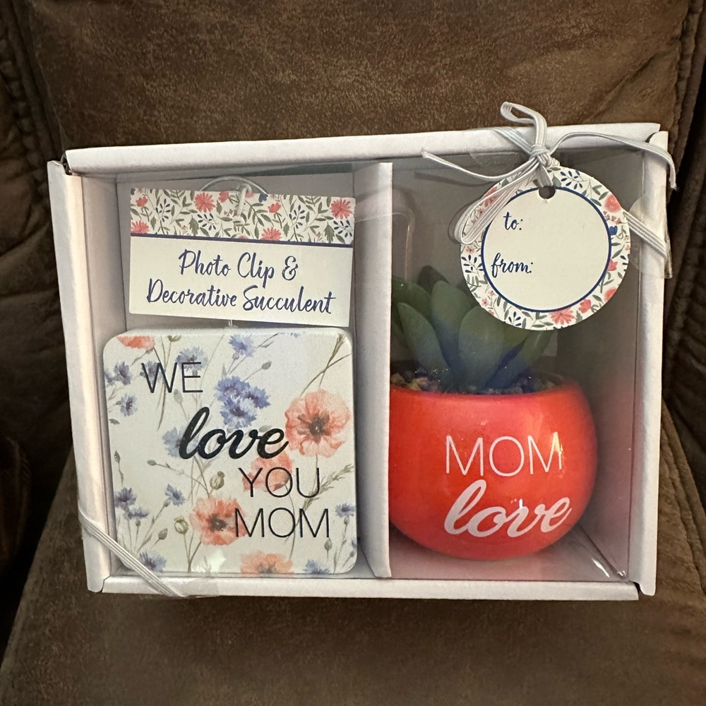 🌵 3/$15 Decorative Faux Succulent floral photo clip Mom gift set see description